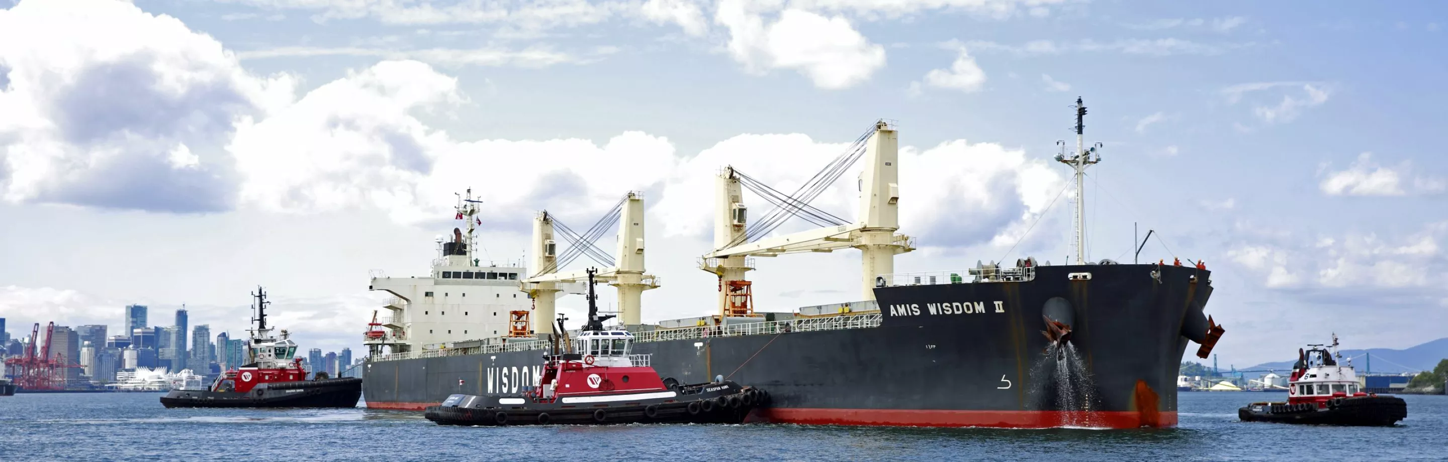 Bulk ship at Burrard Inlet