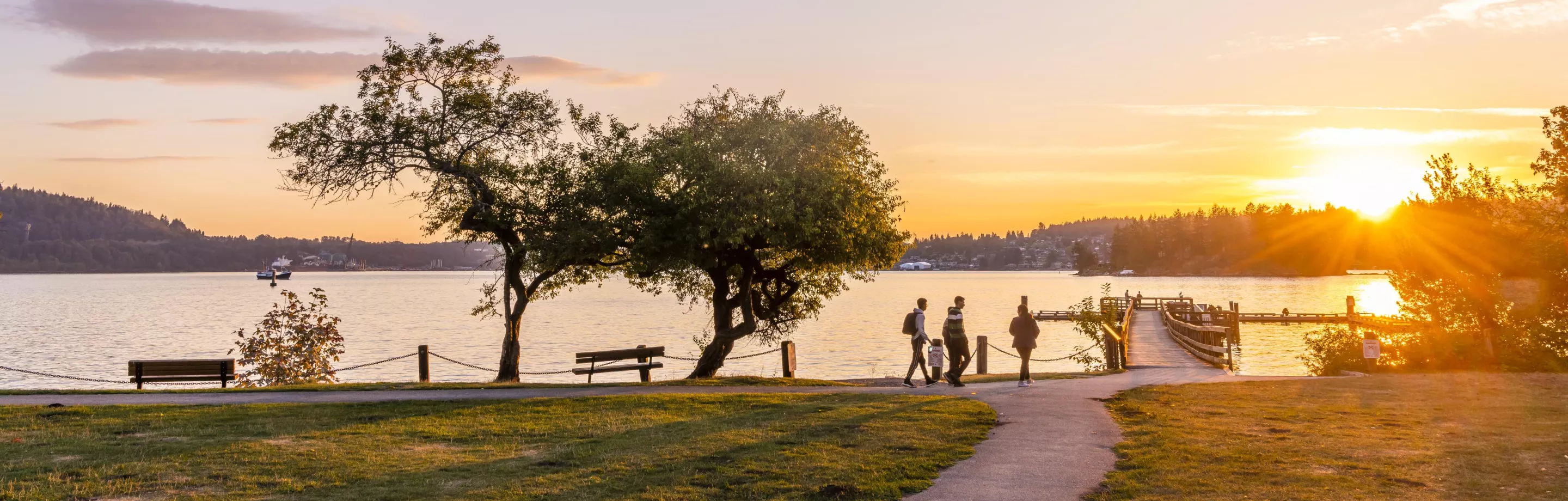 Belcarra park at sunset