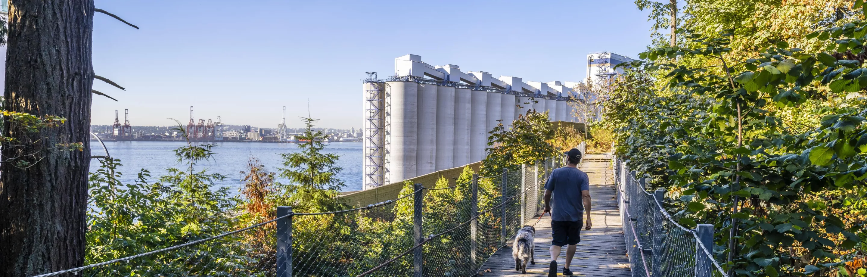 Spirit trail in North Vancouver