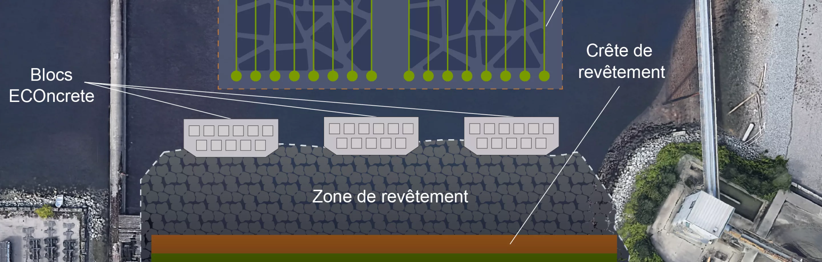 Zone intertidale existante