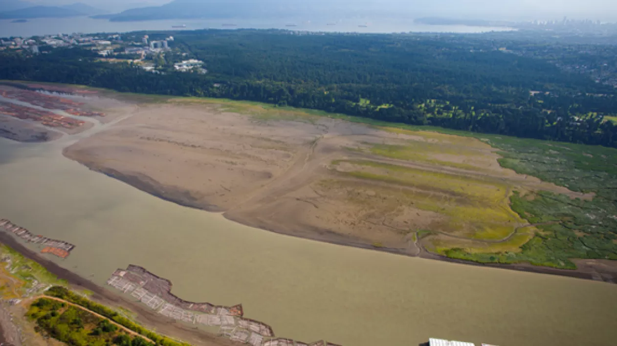 An aerial view of the Point Grey Tidal Marsh