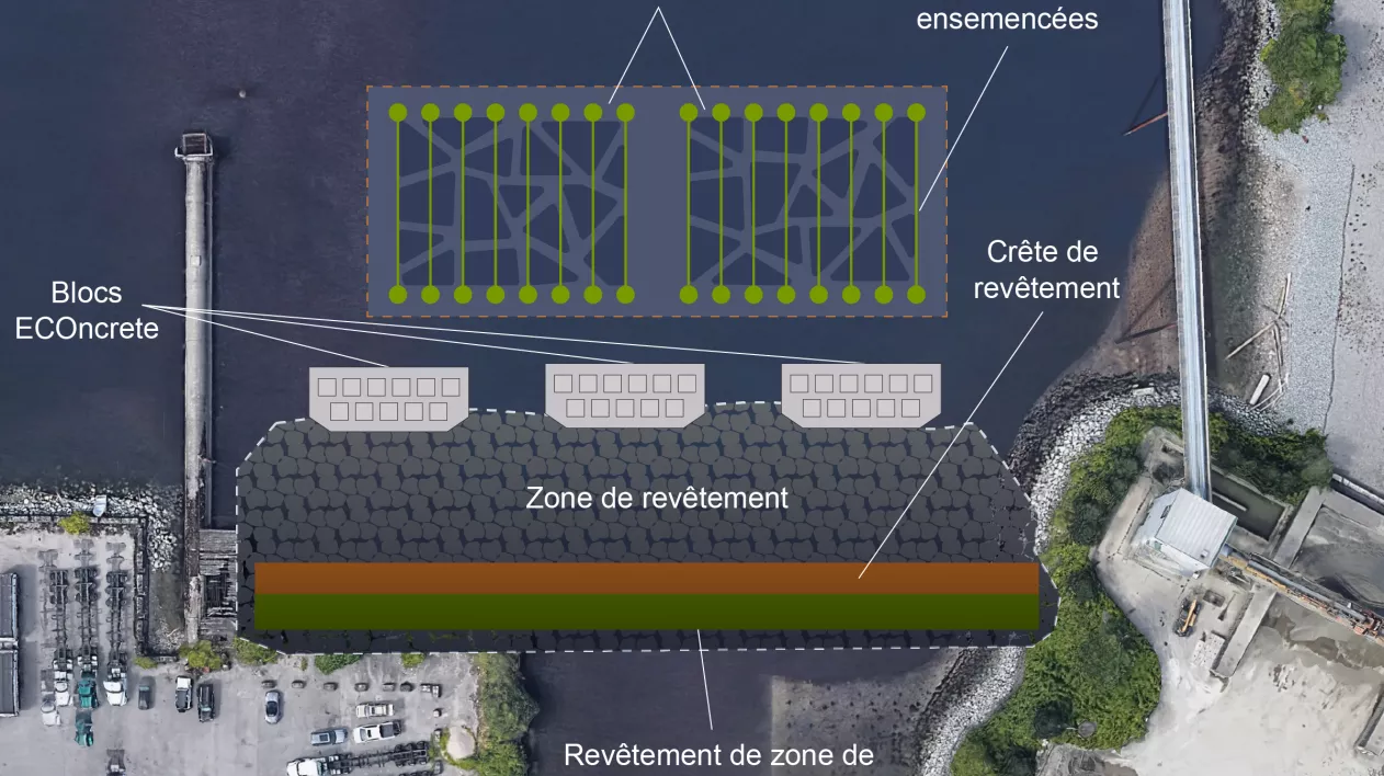 Zone intertidale existante