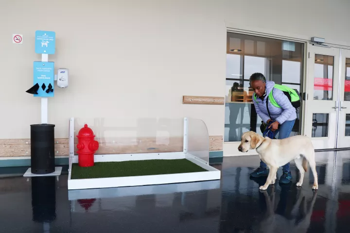 Chien d'assistance utilisant la station de secours pour animaux de compagnie au terminal de croisière de Canada Place